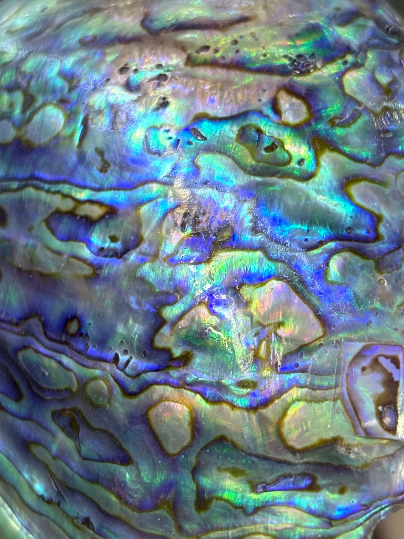Nacre (mother-of-pearl)